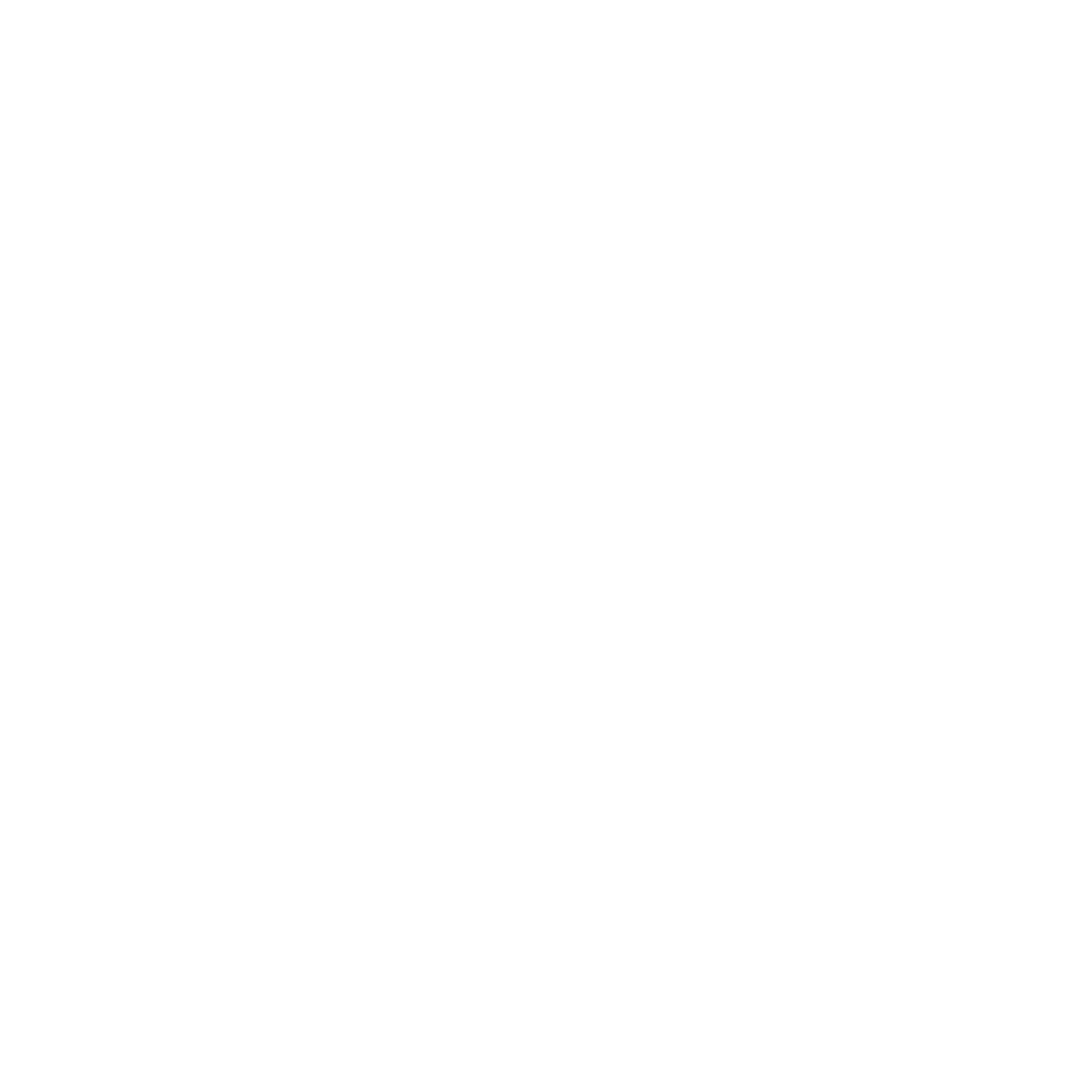 Nerofy logo