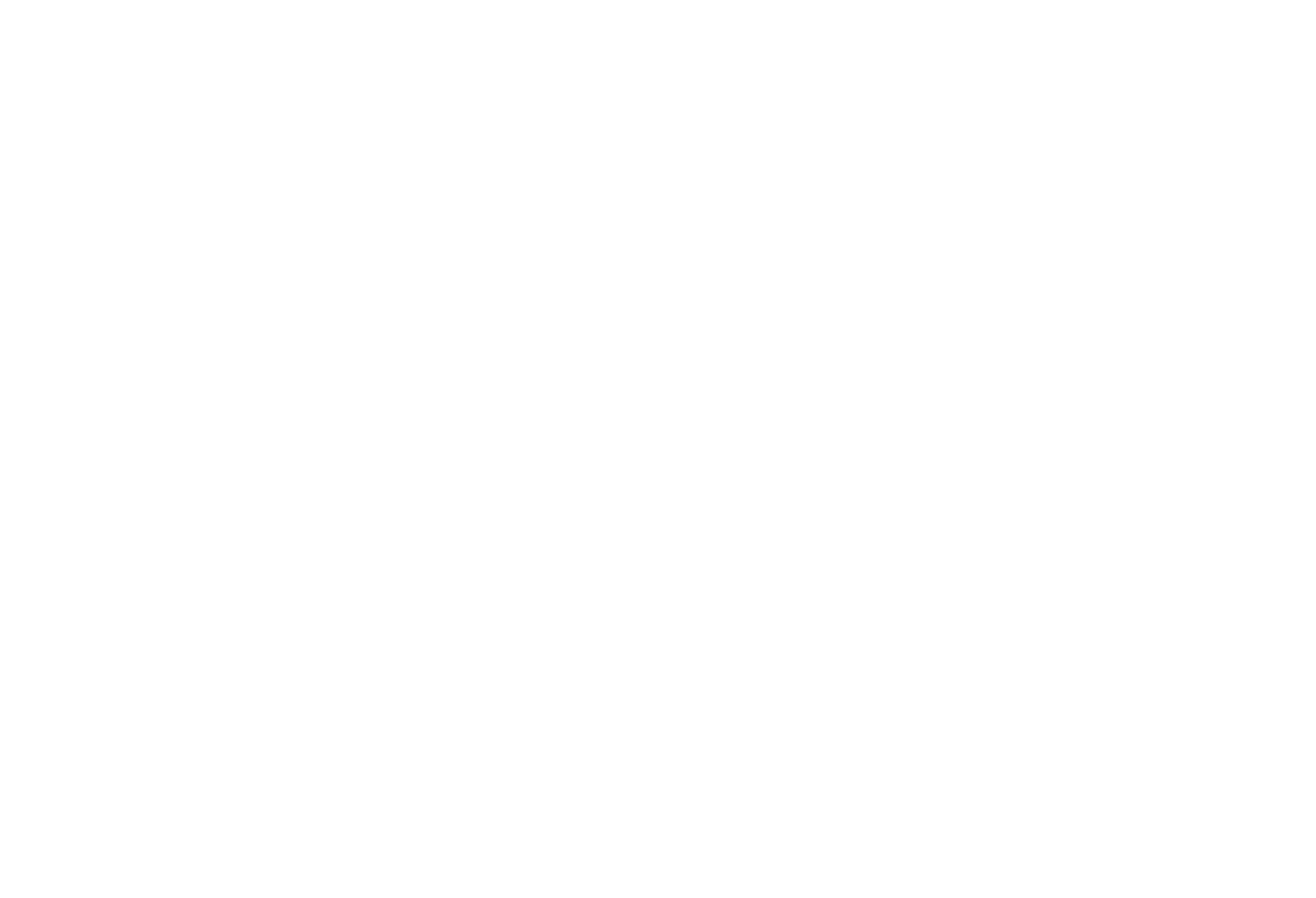 Nerofy Logo outlined