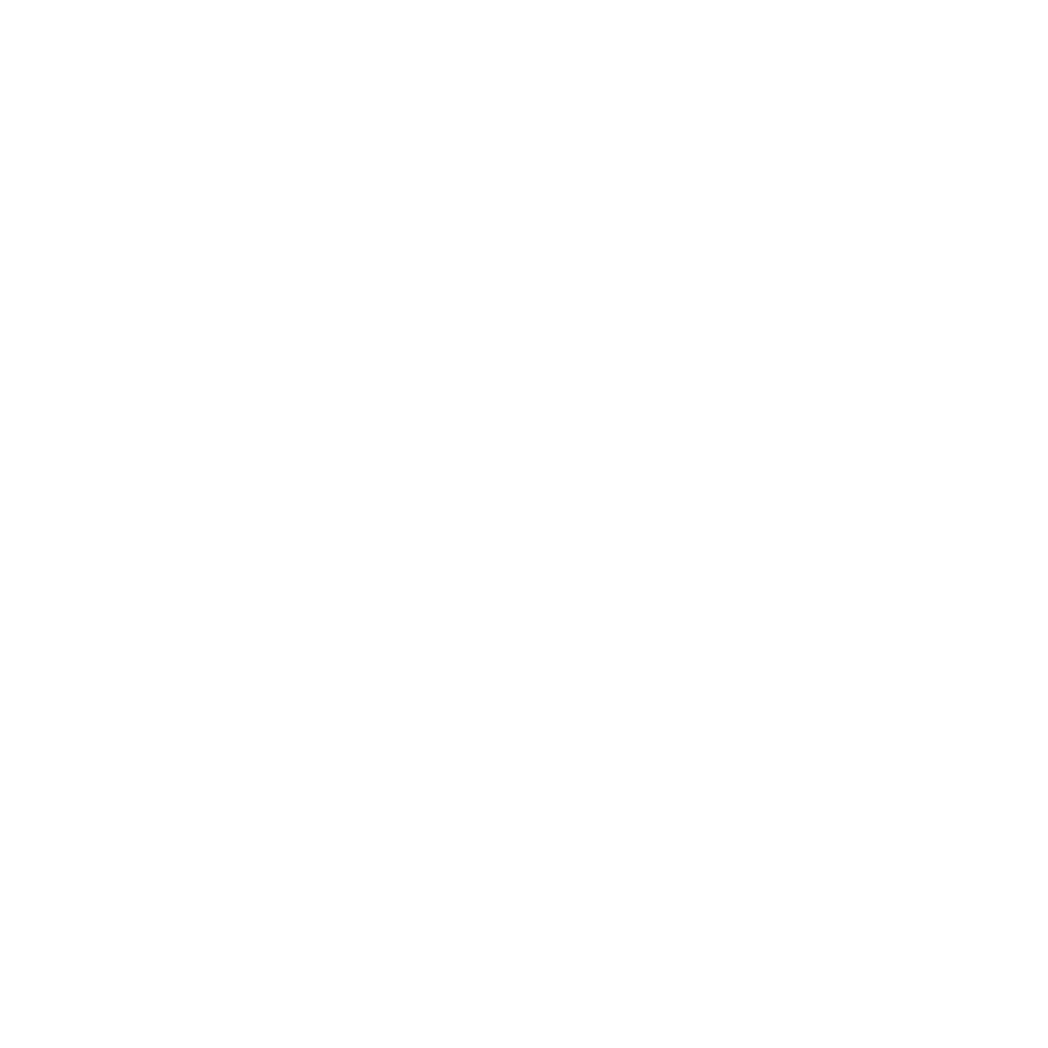 Nerofy logo